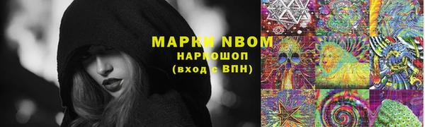 гидропоника Бородино