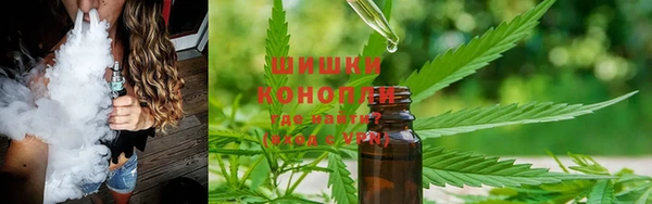 гашик Бронницы