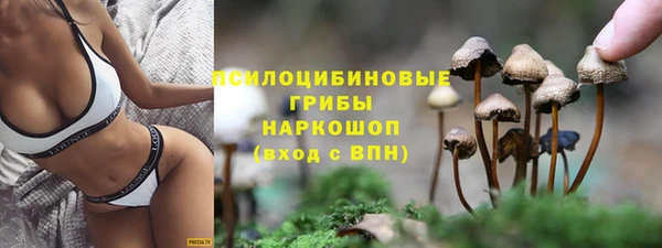 гашик Бронницы