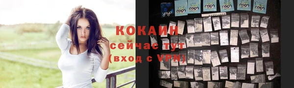гашик Бронницы