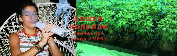 гидропоника Бородино