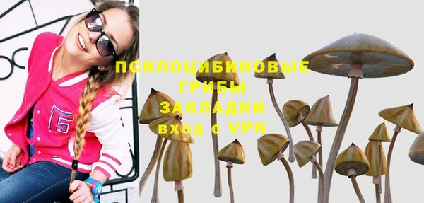сатива Нефтекумск